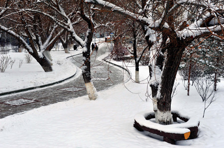 克拉玛依油城美丽雪景好似水墨画