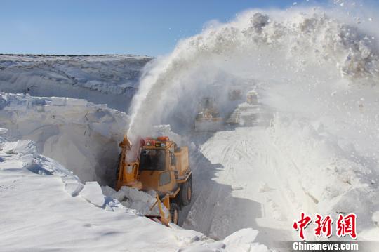 新疆塔城打通“雪墙”确保牲畜顺利转场