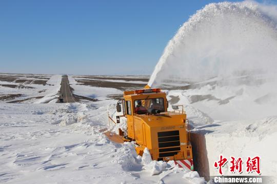 新疆塔城打通“雪墙”确保牲畜顺利转场