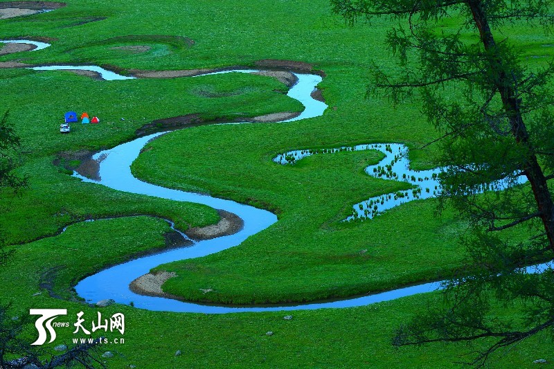 新疆哈巴河县齐巴尔乡夏牧场风景如画