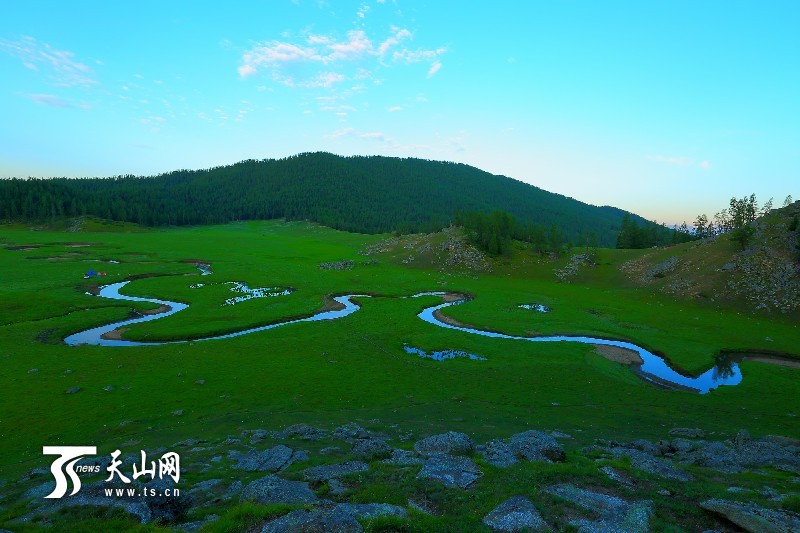 新疆哈巴河县齐巴尔乡夏牧场风景如画