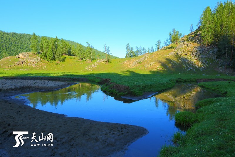 新疆哈巴河县齐巴尔乡夏牧场风景如画