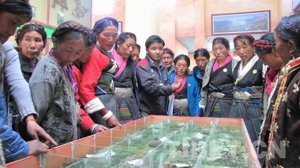 西藏公益组织荣获联合国“赤道奖”
