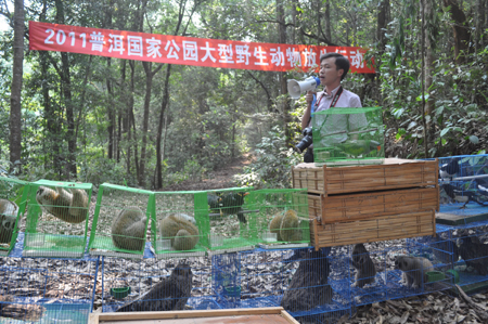 云南普洱：183只野生动物重回自然