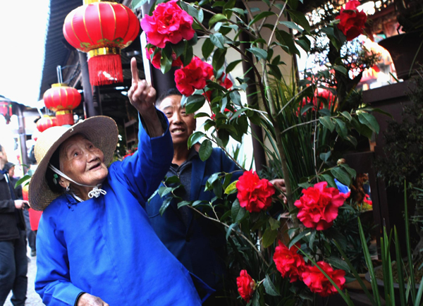 通海：“迎春花街”开街