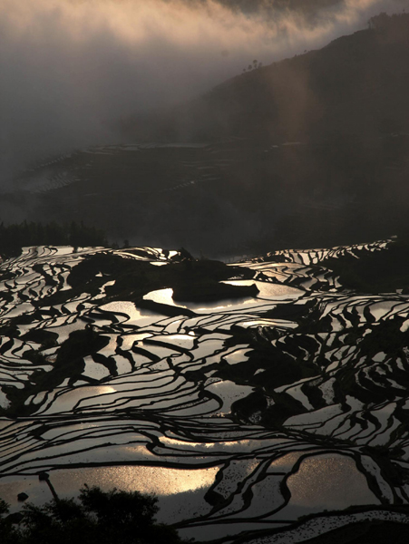 那一方水田里的光影流转