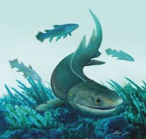 最古老的“四足鱼”化石在云南昭通发现
