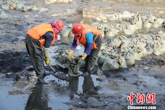 昆明入滇河道盘龙江“大扫除” 将清淤18万方