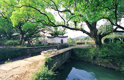 通济堰