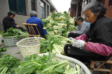 浙江温岭：蔬菜粗加工缓解滞销难题