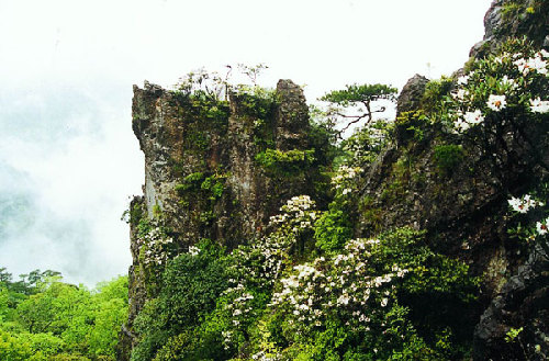 丽水：山清水秀灵毓地