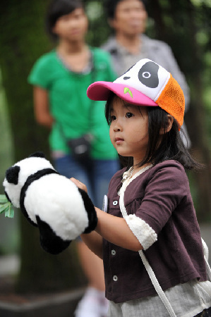 杭州：动物园的大熊猫生日会