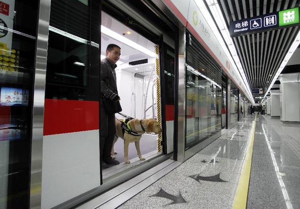 杭州导盲犬首次带领主人乘地铁