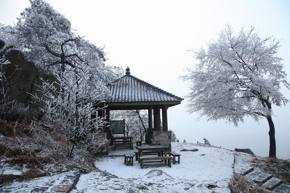 莫干山现雾凇美景