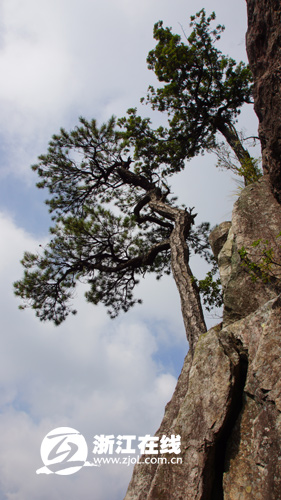 探秘“天然氧吧”龙泉山