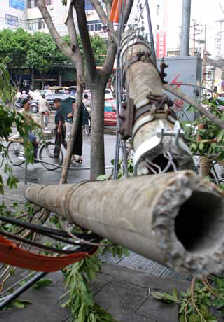 Typhoon kills at least 36 in Guangdong