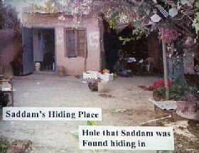 Saddam 'caught like a rat' in a hole