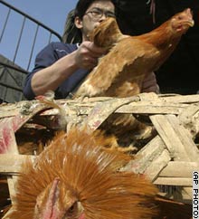 Fifth death from bird flu: WHO