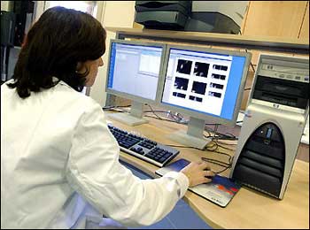 A researcher studies cells on a computer in a stem cells bank. A team of South Korean scientists say they have found a way to produce the human body's own cancer-killing cells through gene therapy, offering new hope to cancer sufferers.(AFP