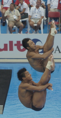 He Chong and Wang won the men's 3-meter synchronized springboard title with 384.42 points. 