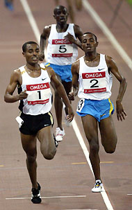 Kenenisa Bekele (L) of Ethiopia, Tariku Bekele (R) of Ethiopia and Boniface Songok (5) of Kenya compete in the men's 3000 metres during the Shanghai Golden Grand Prix September 17, 2005. Bekele won the race with a time of 7:36.36.
