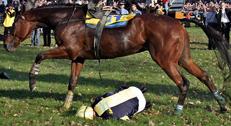 Czech jockey Radek Havelka tries to protect himself while his horse Iraklion jumps over him during the 115th traditional Velka Pardubicka Steeple-Chase in Pardubice, October 9, 2005. German jockey Dirk Fuhrmann on Maskul from USA won ahead of Czech jockey Josef Bartos on German horse Decent Fellow and Czech Laneret with Czech jockey Pavel Tuma placed third.
