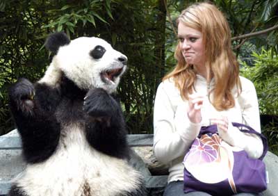 Giant pandas may be sent to Taiwan June next year