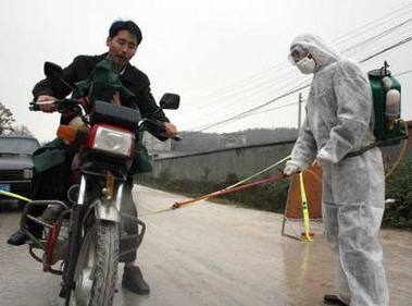 Anhui Province reports new outbreak of bird flu