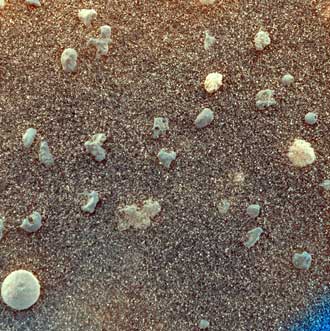 Mars under the microscope