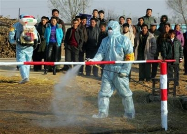 China reports two human bird-flu cases