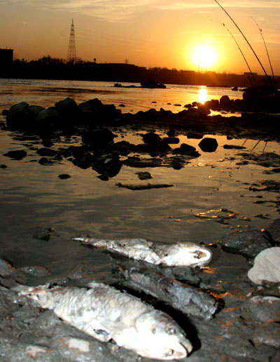 Toxic water of polluted river reaches Harbin