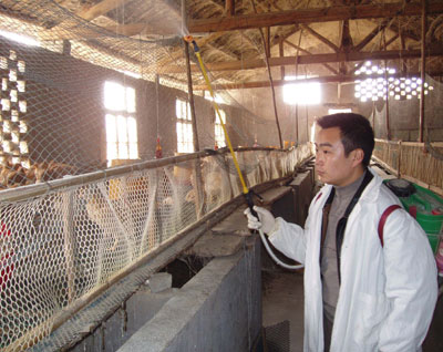 China reports two new bird flu outbreaks