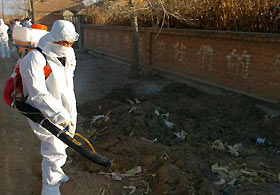China confirms new human case of bird flu