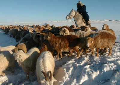 Blizzards hit Northern Xinjiang