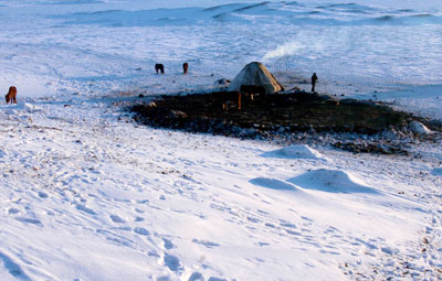 Blizzards hit Northern Xinjiang