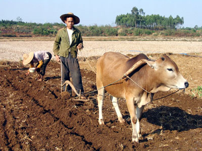 Persistent drought hits Guangdong