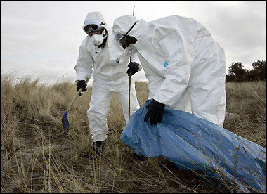 Germany has first suspected farm bird flu case