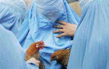 Family of three died of bird flu in Azerbaijan