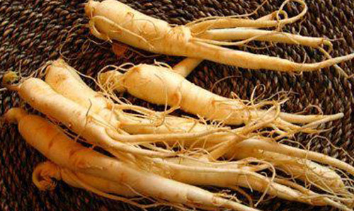 Chinese ginseng