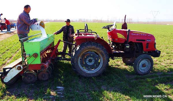 Farmers fertilize wheat as spring ploughing comes in Beijing