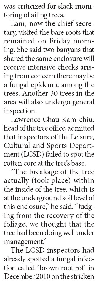 Negligence blamed for tree collapse