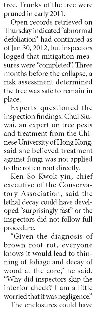 Negligence blamed for tree collapse