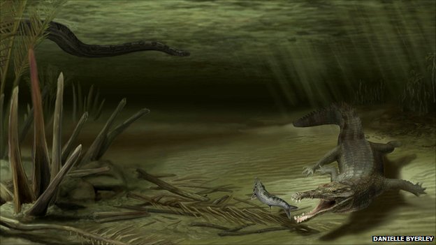 哥伦比亚发现远古巨鳄化石 加拿大琥珀揭秘鸟类羽毛进化过程