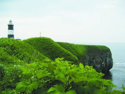 北海道旅行遐想