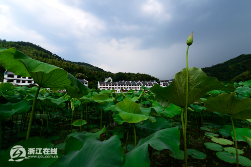 被“盘下”的利山村，一处秀山丽水的养生福地