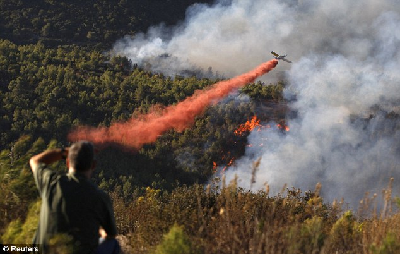 以色列山火终被扑灭 两少年涉嫌引发大火遭逮捕
