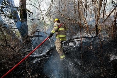 美国数州遭野火和龙卷风袭击 百余人伤亡