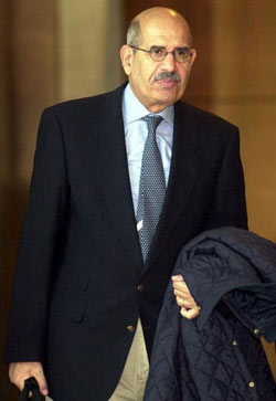 前国际原子能机构总干事巴拉迪有意参选埃及总统
