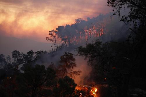 以色列北部发生山火约40人死亡 呼吁多国援助