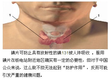 关注福岛核恐慌：谣言不能拯救你